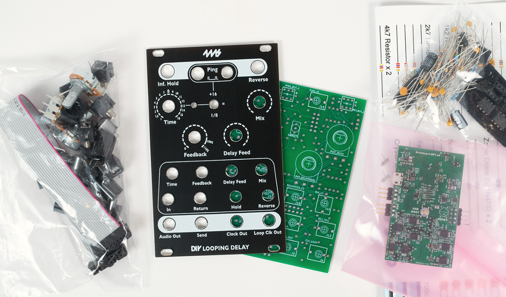 ＊＊ 4ms DIY Looping Delay ディレイ モジュラーシンセ 4ms DIY Looping Delay ディレイ モジュラーシンセ