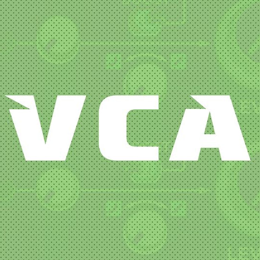 Подружитесь с VCA!