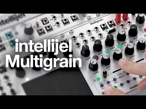 Intelijil Intellijel Designs Multigrain— Clockface Modular