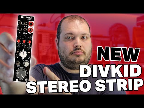 DIVKID STEREO STRIP　ステレオプロセッサー